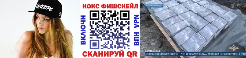 Купить закладки  Славгород  Кокаин FishScale 