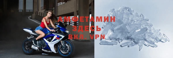 прущие грибы Балабаново