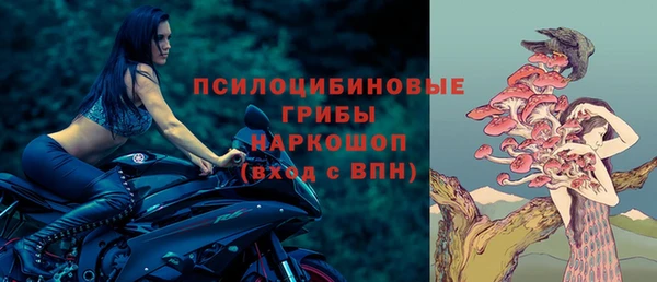 apvp Балахна
