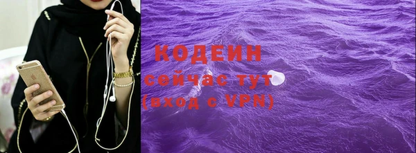 прущие грибы Балабаново
