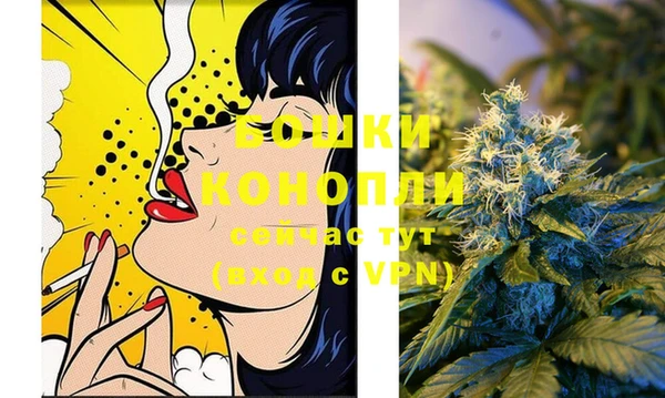 прущие грибы Балабаново