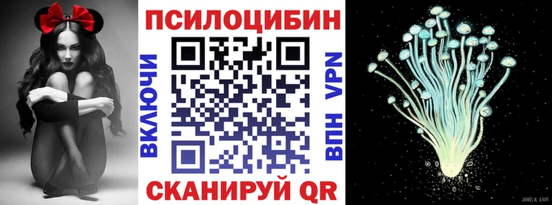 Псилоцибиновые грибы мицелий  Купить  Славгород 